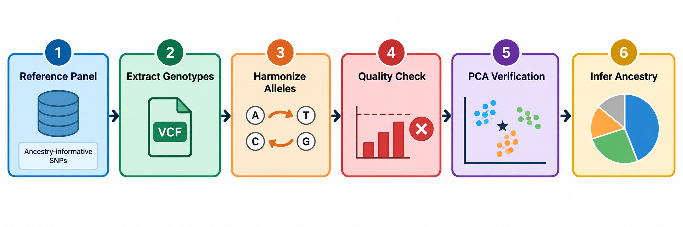 Six-step VarSage genetic ancestry workflow from reference panel through genotype extraction, allele harmonization, quality check, PCA verification, and ancestry inference