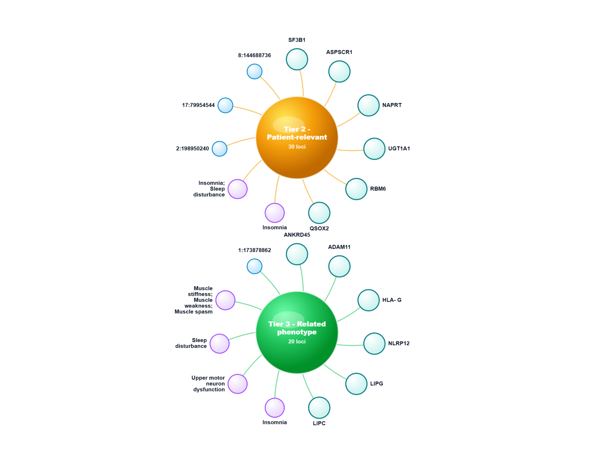 Example GWAS network diagram grouping patient-relevant and related phenotype loci with genes, traits, and genomic positions